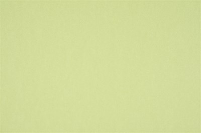 10079-04 Карта Фон/Винил гор.тисн. на флиз.основе/1,06х10м - фото 12860