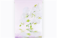 Ролет Орхидея розовый 50*160