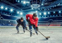 Легенды хоккея К-151 200х140 Фотообои ТУБА/Симфония