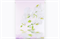 Ролет Орхидея розовый 50*160 - фото 12042